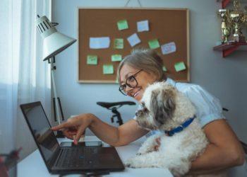 How to Work Successfully From Home Pt. 2