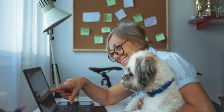 How to Work Successfully From Home Pt. 2