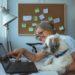 How to Work Successfully From Home Pt. 2