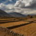 How Climate Change Shaped Ancient Civilizations