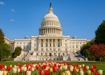 How Ancient Empires Shaped Modern Governance in the United States