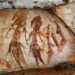 Oceania’s Indigenous Histories and Myths