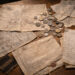 How Long-Term Change Shaped Historical Eras