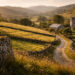 How Local Landscapes Shape Regional Memory and Identity