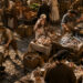 Tastes of the Market: Food, Labor, and Urban Rituals