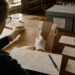 Reading Quiet Archives and Building Trustworthy Lives