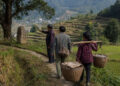 Invisible Routes: How Daily Life Crafts Regional Histories