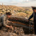 Mapping Cultural Layers: A Region’s Changing Identity Over Centuries