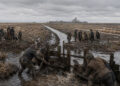 How the English Fens Were Turned into Farmland and Memory