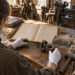Tracing the Life of a Provincial Industrial Pioneer