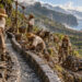 Levadas and the Making of Madeira’s Island Region