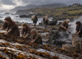 Kelp and Coin: Scotland’s Seaweed Economy and the Clearances