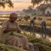 Sea Islands: Rice, Sweetgrass, and a Living West African Legacy